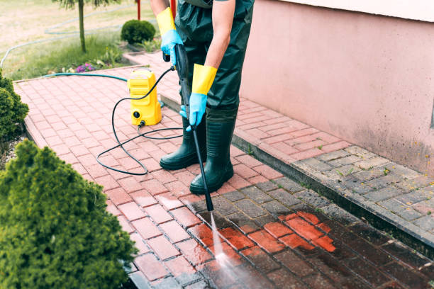 Best Roof Cleaning and Mildew Removal in Dickinson, TX