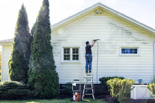 Best Driveway Cleaning and Restoration in Dickinson, TX